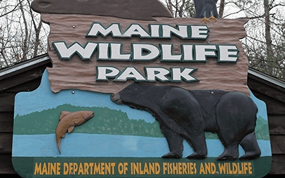 maine-wildlife-park-card